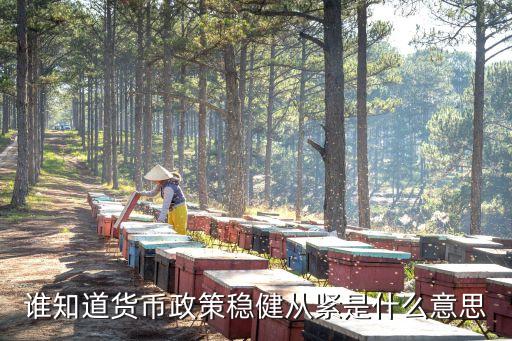 誰知道貨幣政策穩(wěn)健從緊是什么意思