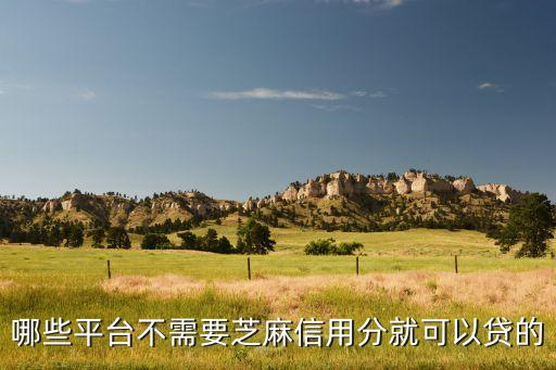 哪些平臺(tái)不需要芝麻信用分就可以貸的