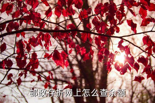 郵政存折網(wǎng)上怎么查余額