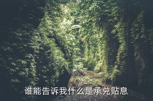 承兌貼息什么意思，成兌支票貼息是什么意思