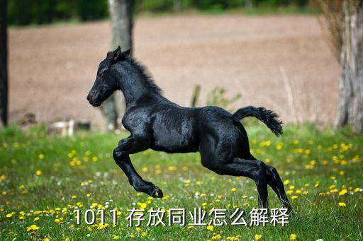 1011 存放同業(yè)怎么解釋
