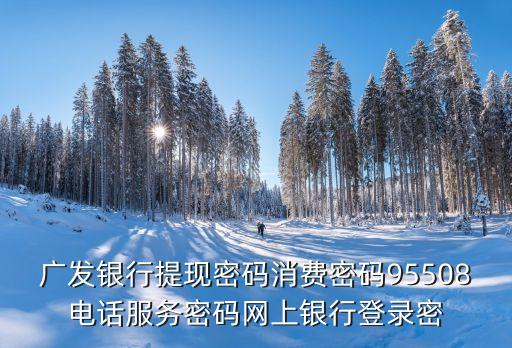 廣發(fā)銀行提現(xiàn)密碼消費(fèi)密碼95508電話服務(wù)密碼網(wǎng)上銀行登錄密