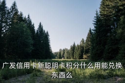 新聰明卡積分有什么用，廣發(fā)銀行一百多萬的聰明卡積分可以換什么