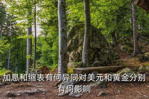 央行縮表是什么原因，弱弱問一下什么叫收縮資產(chǎn)負(fù)債表