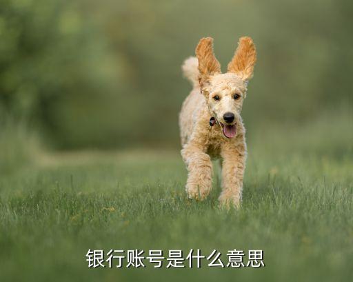 銀行賬號(hào)信息是什么意思，銀行賬號(hào)是什么