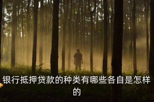 銀行抵押貸款的種類有哪些各自是怎樣的