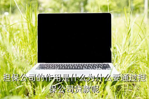 擔(dān)保公司的作用是什么為什么要通過擔(dān)保公司貸款呢