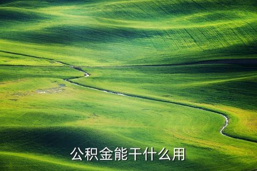 公積金能做什么，公積金能干什么用