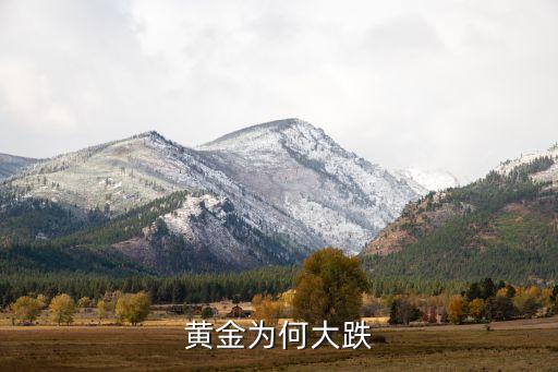 黃金為何大跌