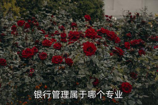 銀行是什么專業(yè)，銀行管理屬于哪個專業(yè)