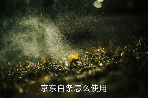 用京東白條怎么買東西嗎，京東白條怎么用