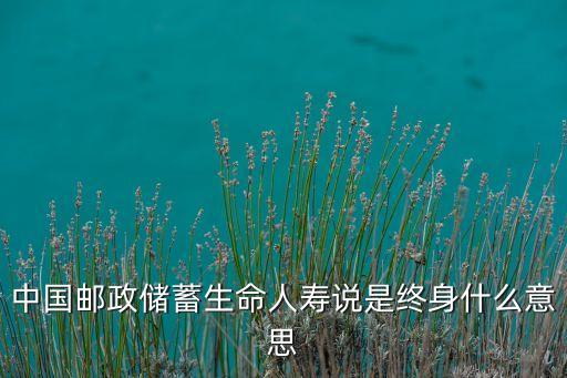 中國郵政儲蓄生命人壽說是終身什么意思