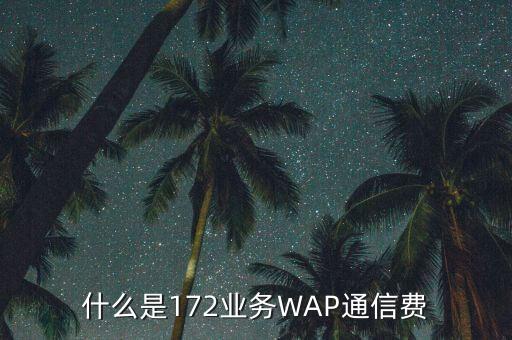 什么是172業(yè)務(wù)WAP通信費(fèi)