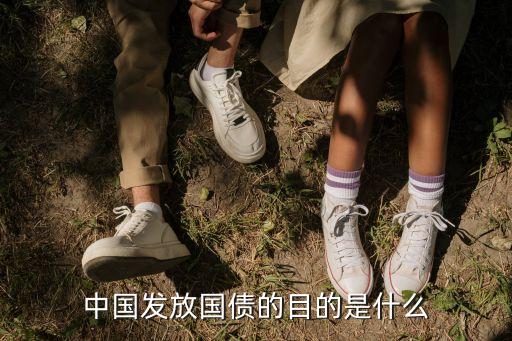 國(guó)家為什么發(fā)行國(guó)債，中國(guó)發(fā)放國(guó)債的目的是什么