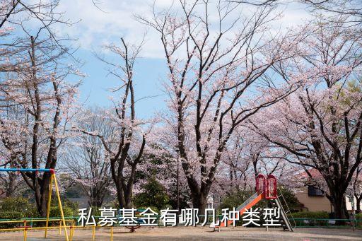 什么是非證券類投資基金，非證券業(yè)務(wù)的投資管理是指什么