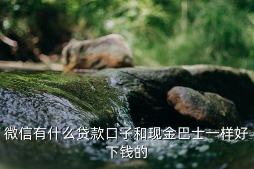 微信有什么貸款口子和現(xiàn)金巴士一樣好下錢的