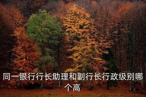 同一銀行行長助理和副行長行政級別哪個高