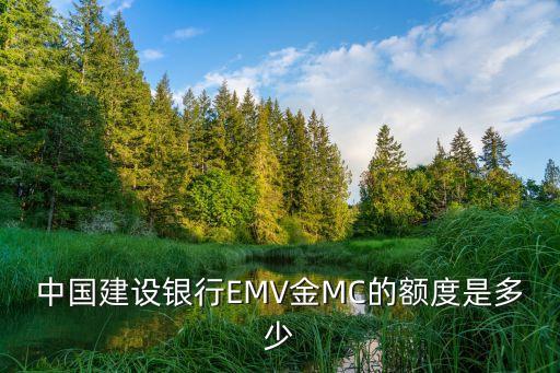 中國建設(shè)銀行EMV金MC的額度是多少
