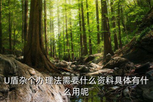 辦理u盾需要什么資料，關(guān)于工行銀行卡U盾的申請(qǐng)