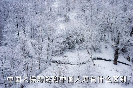 國壽和人壽有什么區(qū)別，國壽保險和人壽保險有什么分別