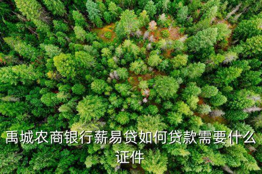 薪易貸用什么拍照，禹城農(nóng)商銀行薪易貸如何貸款需要什么證件