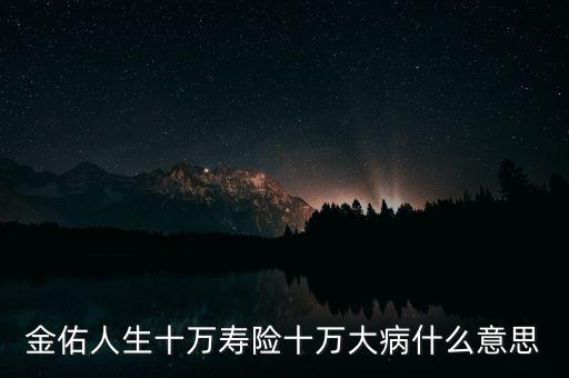 金佑人生十萬壽險十萬大病什么意思