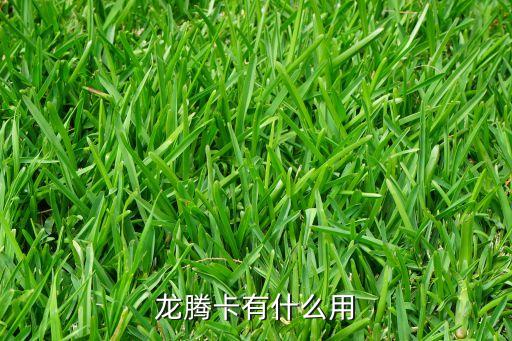 龍騰卡有什么用