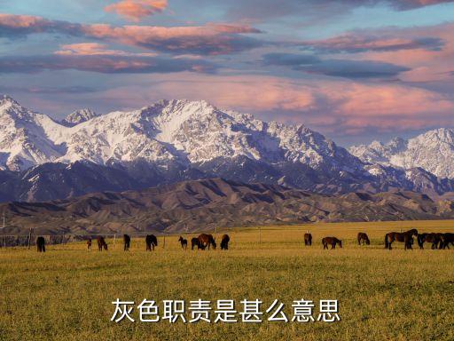 灰色職業(yè)指的是什么意思，灰色職責(zé)是甚么意思