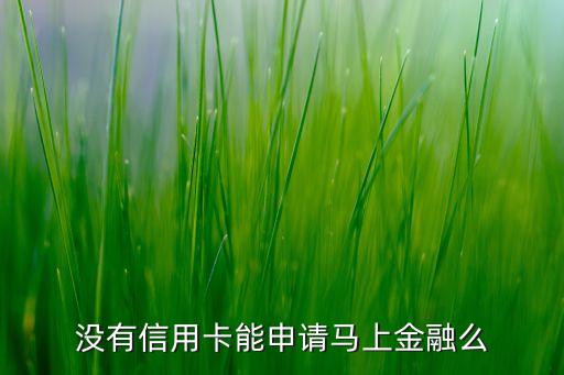 沒有信用卡能申請(qǐng)馬上金融么