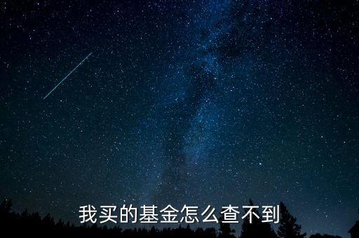 我買的基金怎么查不到