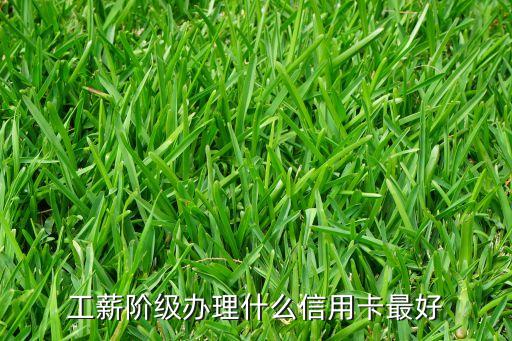 工薪族用什么信用卡好，哪個銀行的信用卡好 適合工薪階層