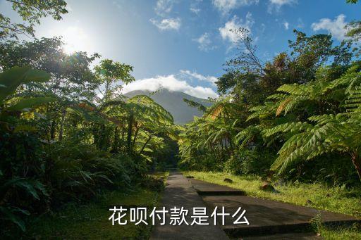 什么是芝麻花唄付款，花唄付款是什么