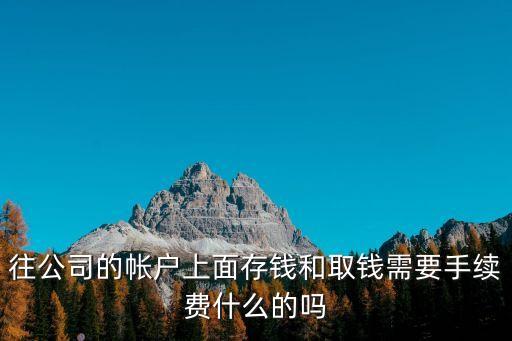 往公司的帳戶上面存錢(qián)和取錢(qián)需要手續(xù)費(fèi)什么的嗎