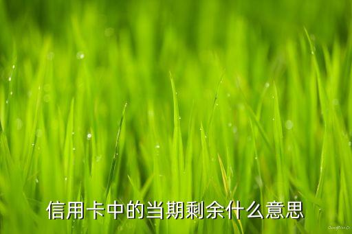 信用卡中的當(dāng)期剩余什么意思