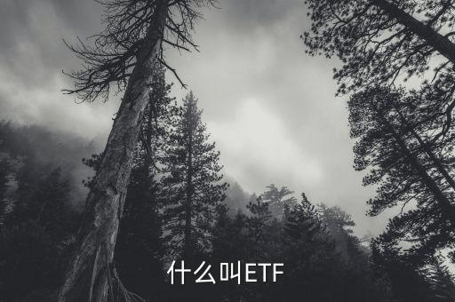 什么叫ETF