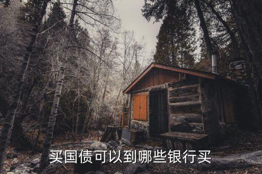 國債什么銀行可以買嗎，哪些銀行可以購買國債