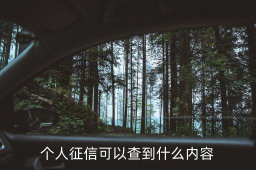 個(gè)人征信能查到些什么，個(gè)人征信報(bào)告能查到哪些記錄
