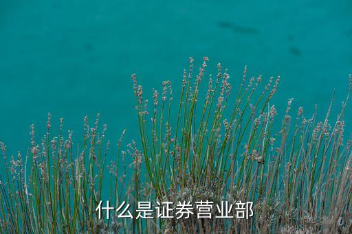 證券營業(yè)部是干什么的，什么是證券營業(yè)部