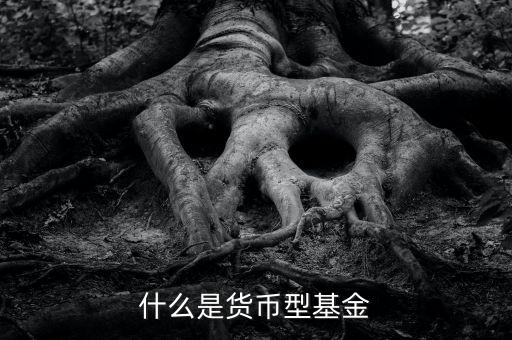 什么是貨幣型基金
