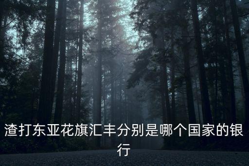 渣打東亞花旗匯豐分別是哪個國家的銀行