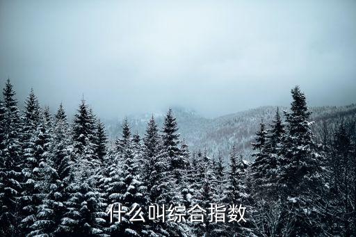 什么叫綜合指數(shù)
