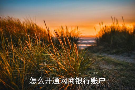 什么是網(wǎng)商銀行賬戶，網(wǎng)銀是什么