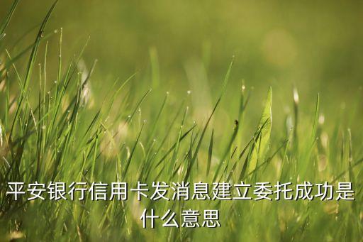 平安銀行信用卡發(fā)消息建立委托成功是什么意思