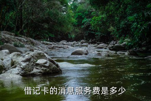 借記卡的消息服務(wù)費(fèi)是多少
