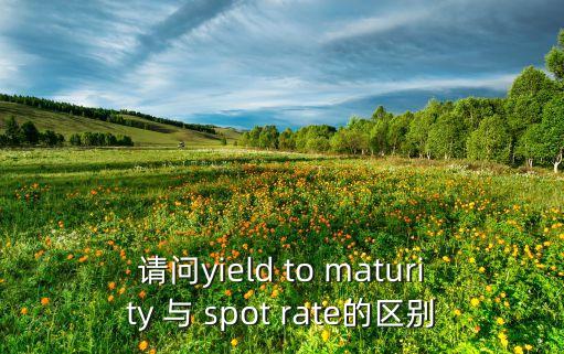 請(qǐng)問yield to maturity 與 spot rate的區(qū)別