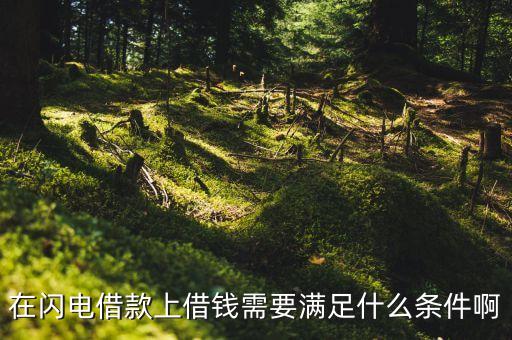 在閃電借款上借錢需要滿足什么條件啊
