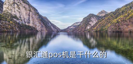 中銀匯通是做什么的，郵政網匯通是做什么的