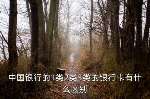 中國銀行的1類2類3類的銀行卡有什么區(qū)別