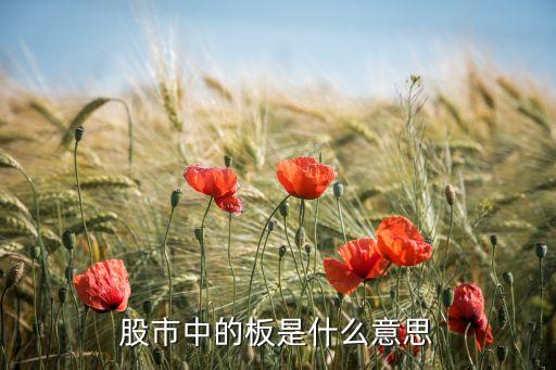 股市中的板是什么意思
