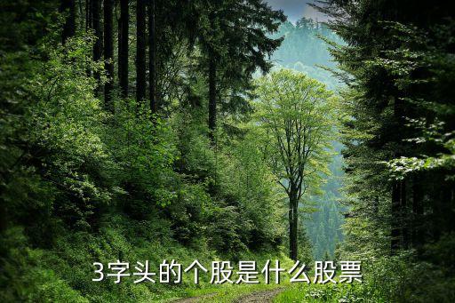 3字頭的個(gè)股是什么股票